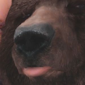 Meet your Posher, Mia